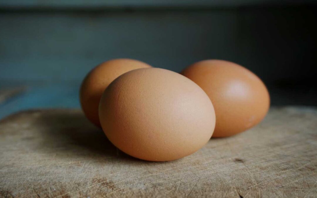 The Low Down on Eggs and Cholesterol