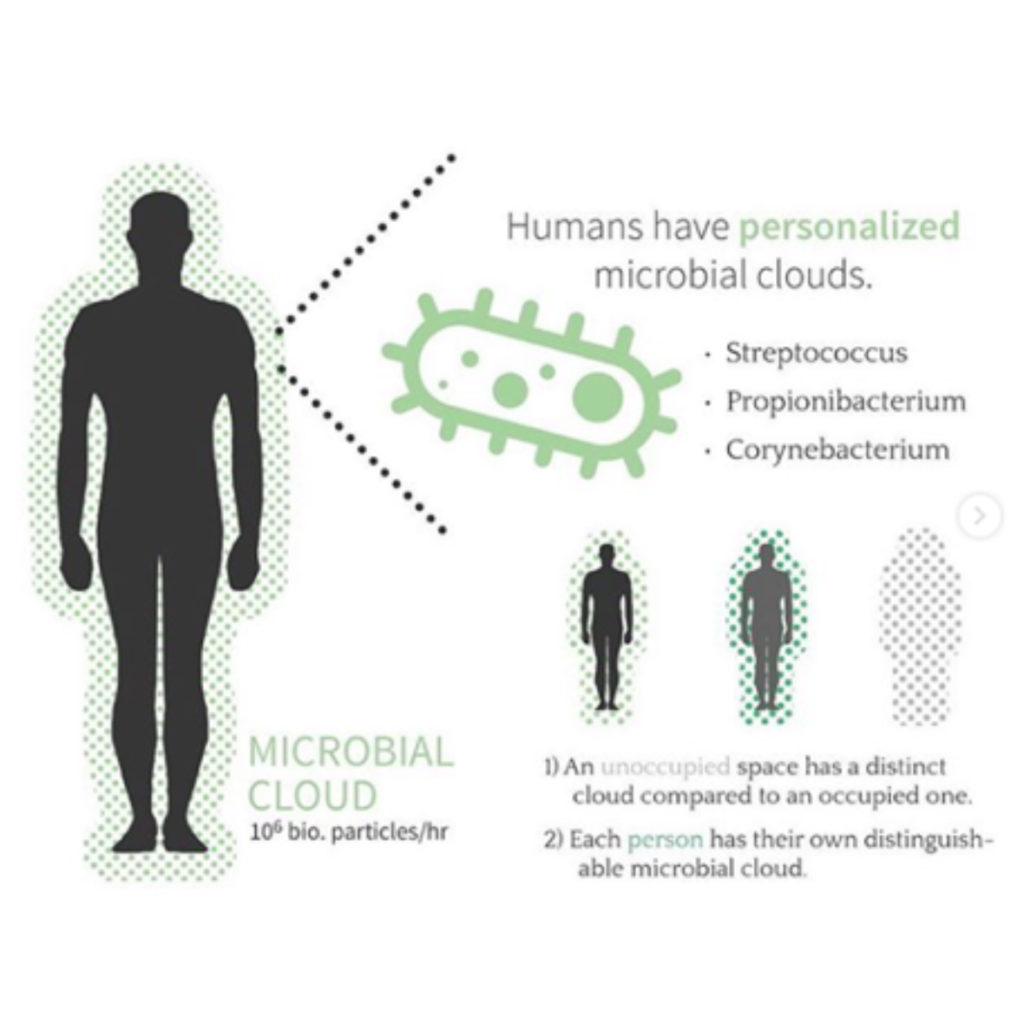 Gut Microbiome & The Impact on Your Health | Rushcutters Health