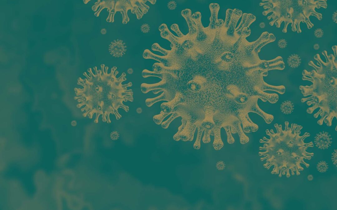 How Exercise can Boost your Immune System
