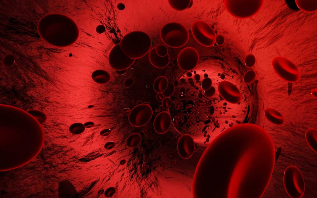 5 Blood markers that you should understand and monitor