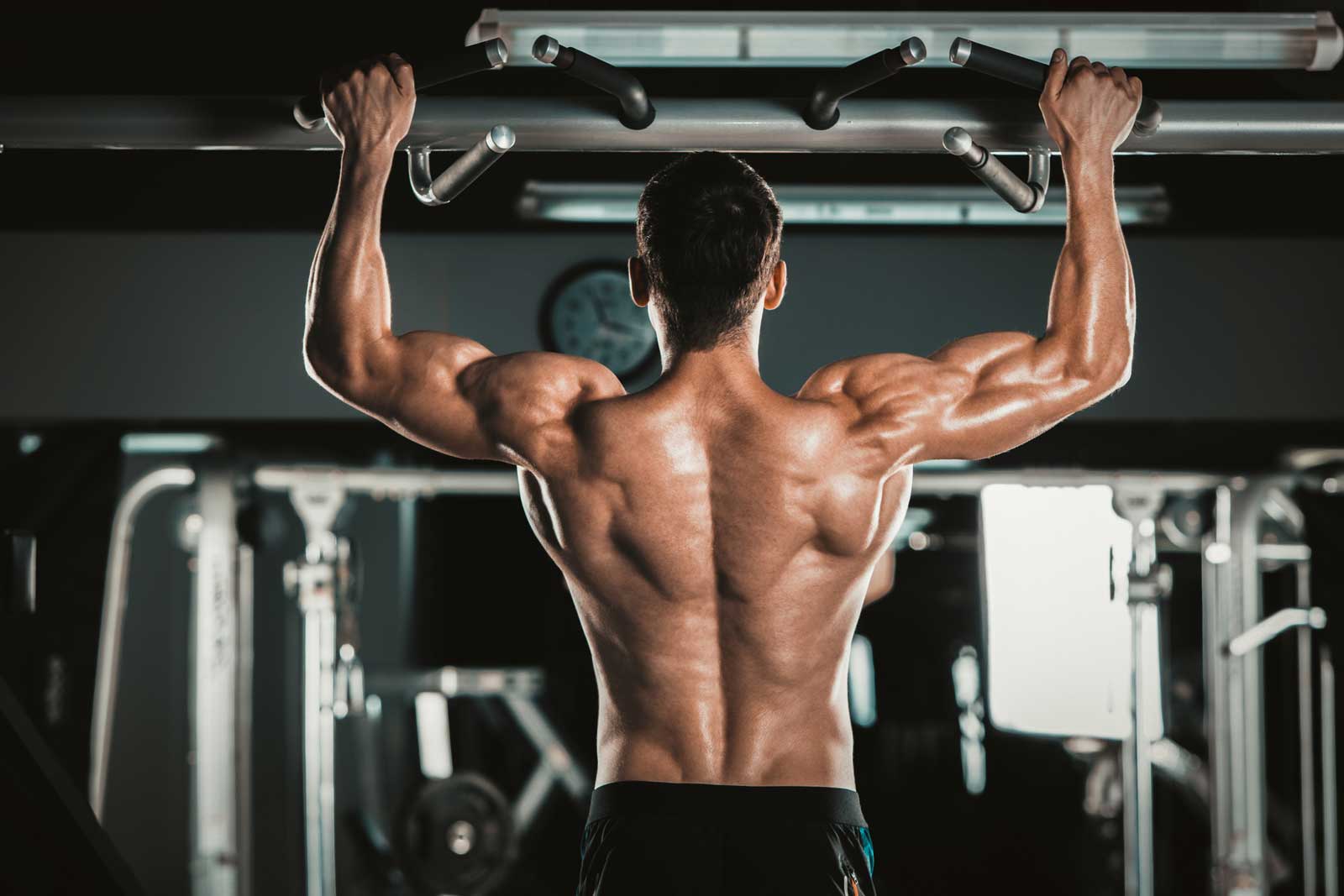 Your Ultimate Guide to Bulking Foods for muscle growth